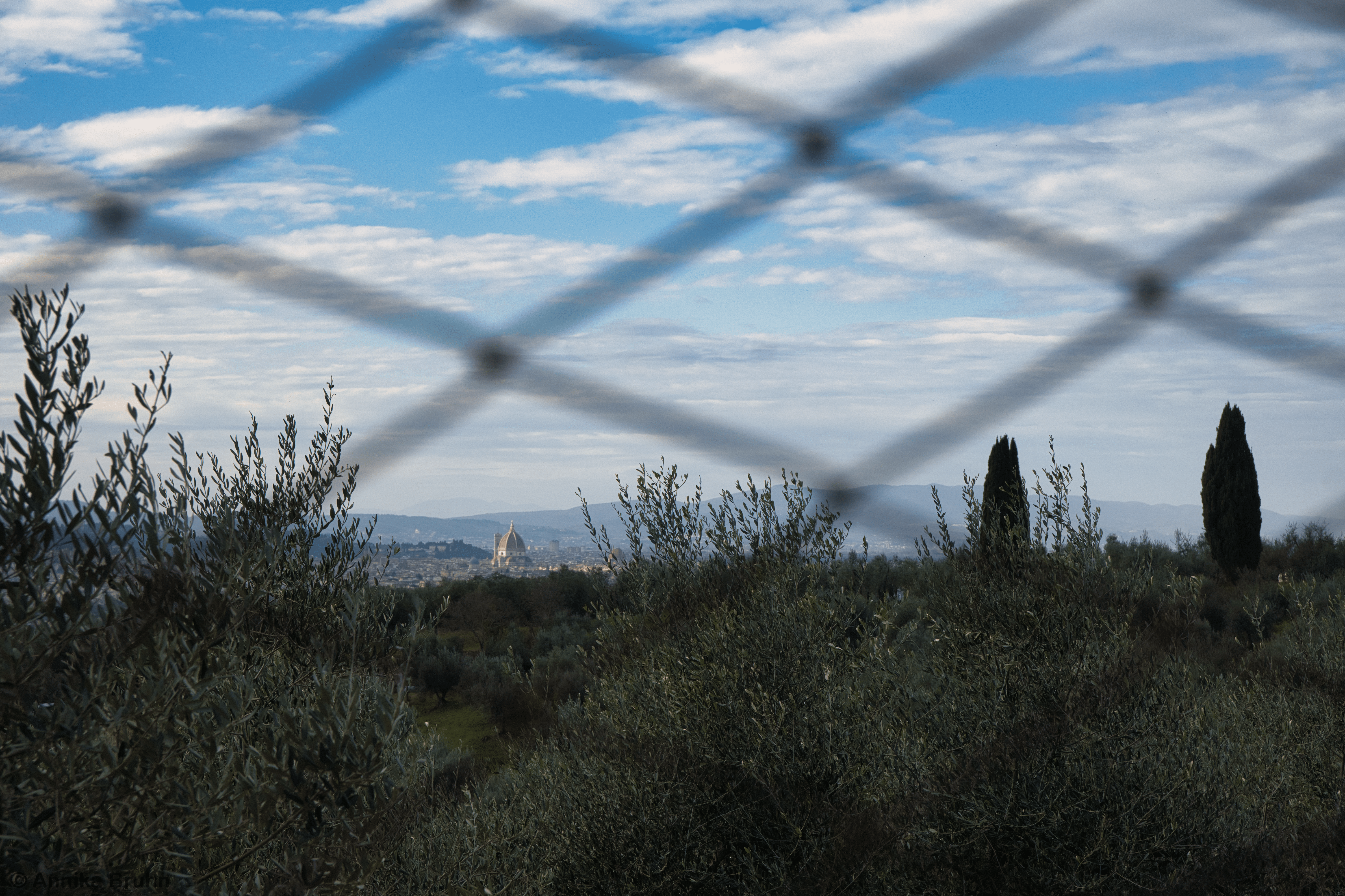 Blick auf Florenz